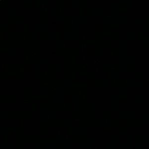 Meet your Posher, Riley